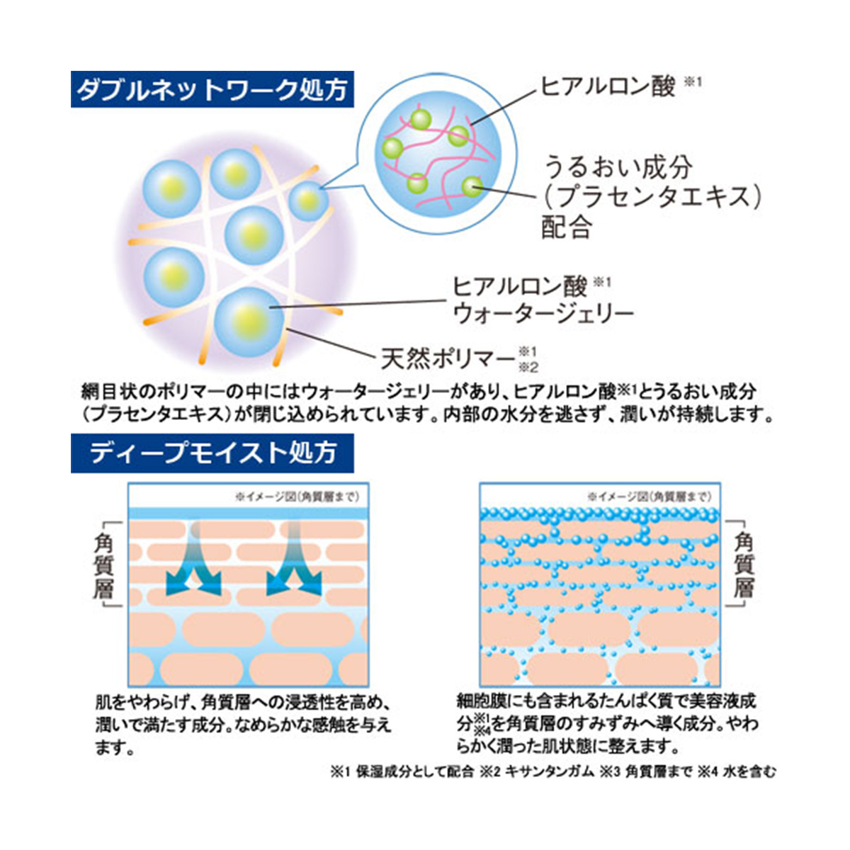 モイスチャーセット≪保湿化粧水と保湿クリームのセット≫ 1セット