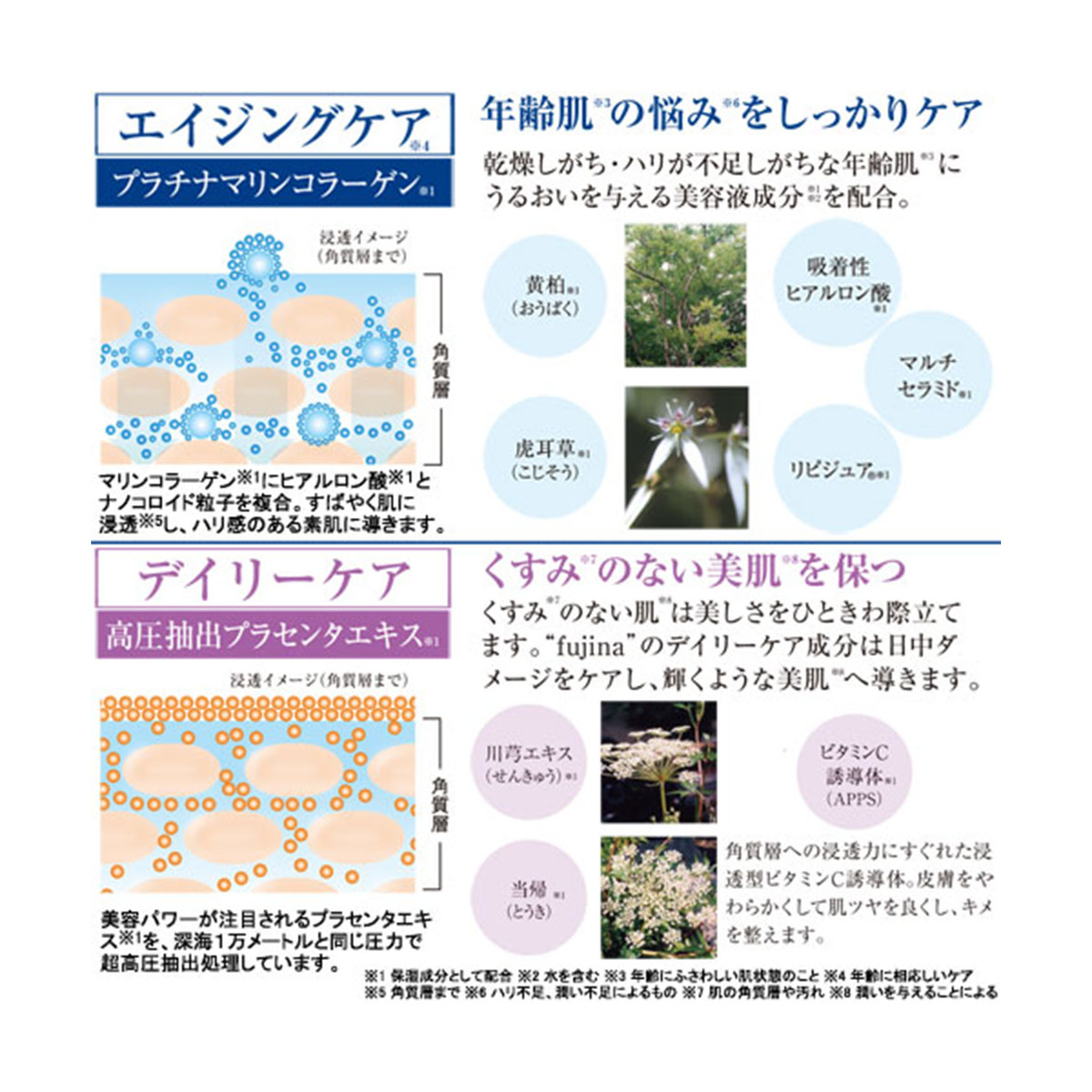 モイスチャーセット≪保湿化粧水と保湿クリームのセット≫ 1セット