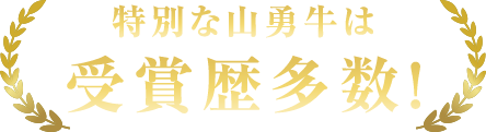 特別な山勇牛は受賞歴多数