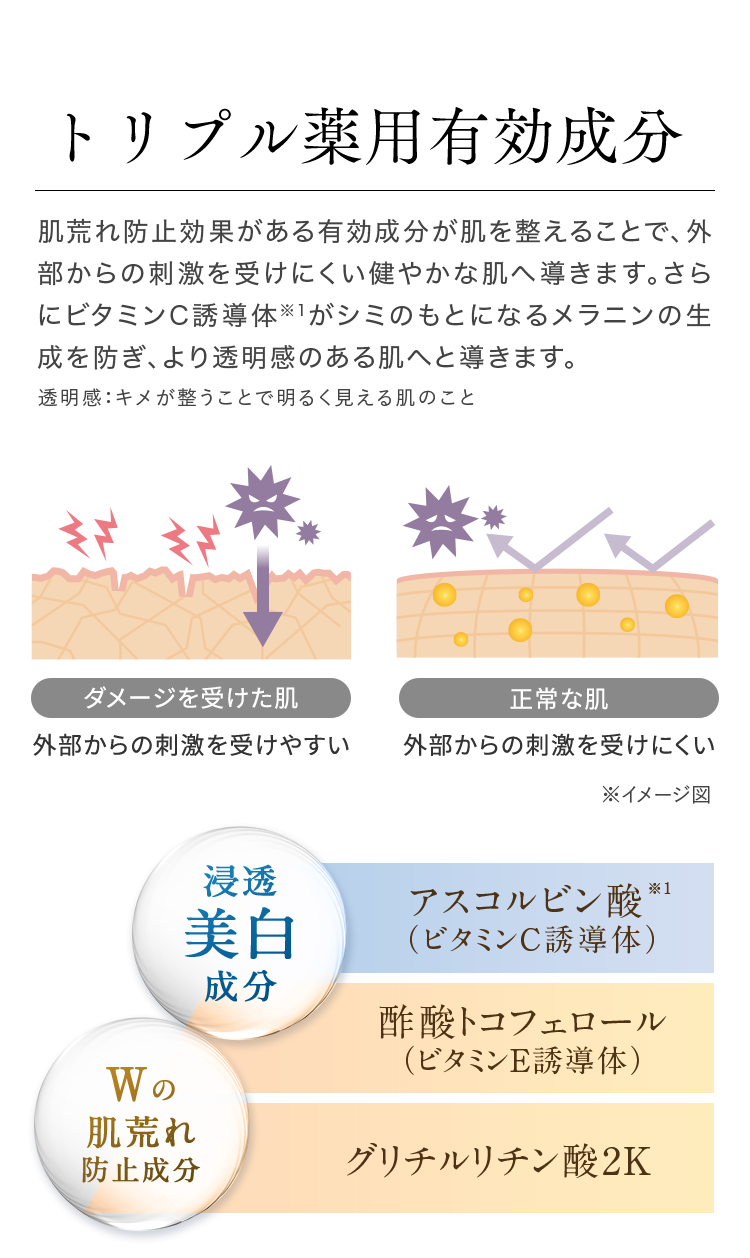 トリプル薬用有効成分　肌荒れ防止効果がある有効成分が肌を整えることで、外部からの刺激を受けにくい健やかな肌へ導きます。さらにビタミンC誘導体※1がシミのもとになるメラニンの生成を防ぎ、より透明感のある肌へと導きます。　透明感：キメが整うことで明るく見える肌のこと　ダメージを受けた肌：外部からの刺激を受けやすい　正常な肌：外部からの刺激を受けにくい　浸透 美白 成分　 アスコルビン酸※1 （ビタミンC誘導体）　酢酸トコフェロール （ビタミンE誘導体）　Wの 肌荒れ 防止成分　グリチルリチン酸2K