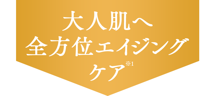 大人肌へ全方位エイジングケア