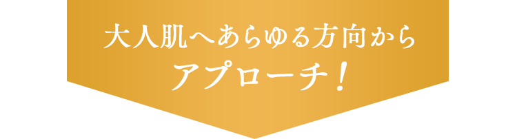 大人肌へあらゆる方向からアプローチ！