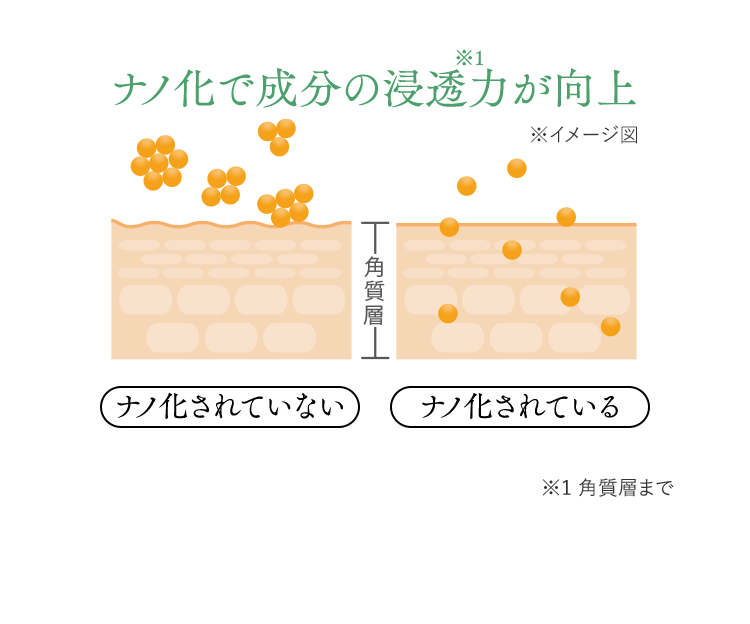 ナノ化で成分の浸透力が向上